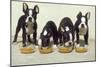 Boston Terrier Dog 4 Puppies Eating from Dog-null-Mounted Photographic Print