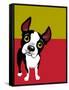 Boston Terrier Dog-TeddyandMia-Framed Stretched Canvas