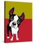 Boston Terrier Dog-TeddyandMia-Stretched Canvas