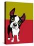 Boston Terrier Dog-TeddyandMia-Stretched Canvas