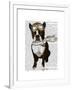 Boston Terrier Flying Ace-Fab Funky-Framed Art Print