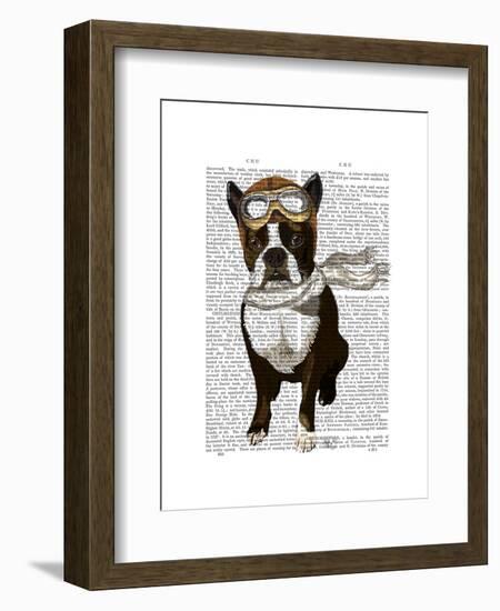 Boston Terrier Flying Ace-Fab Funky-Framed Art Print