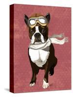 Boston Terrier Flying Ace-Fab Funky-Stretched Canvas