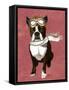 Boston Terrier Flying Ace-Fab Funky-Framed Stretched Canvas