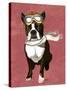 Boston Terrier Flying Ace-Fab Funky-Stretched Canvas