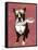 Boston Terrier Flying Ace-Fab Funky-Framed Stretched Canvas