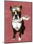 Boston Terrier Flying Ace-Fab Funky-Mounted Art Print