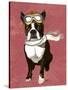 Boston Terrier Flying Ace-Fab Funky-Stretched Canvas