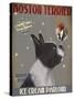 Boston Terrier Ice Cream-Fab Funky-Stretched Canvas