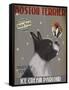 Boston Terrier Ice Cream-Fab Funky-Framed Stretched Canvas