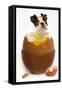 Boston Terrier in Boiled Egg-null-Framed Stretched Canvas