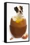 Boston Terrier in Boiled Egg-null-Framed Stretched Canvas