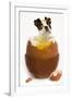 Boston Terrier in Boiled Egg-null-Framed Photographic Print