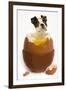 Boston Terrier in Boiled Egg-null-Framed Photographic Print