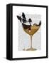 Boston Terrier in Cocktail Glass-Fab Funky-Framed Stretched Canvas