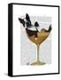 Boston Terrier in Cocktail Glass-Fab Funky-Framed Stretched Canvas