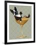 Boston Terrier in Cocktail Glass-Fab Funky-Framed Premium Giclee Print