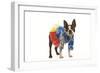 Boston Terrier in Studio Wearing Hawaii Shirt-null-Framed Photographic Print