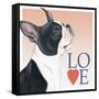 Boston Terrier Love-Tomoyo Pitcher-Framed Stretched Canvas