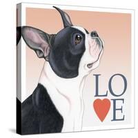 Boston Terrier Love-Tomoyo Pitcher-Stretched Canvas