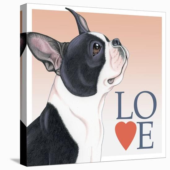 Boston Terrier Love-Tomoyo Pitcher-Stretched Canvas