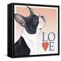 Boston Terrier Love-Tomoyo Pitcher-Framed Stretched Canvas