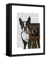 Boston Terrier Photographer-Fab Funky-Framed Stretched Canvas