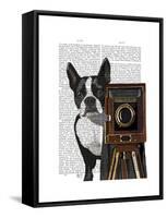 Boston Terrier Photographer-Fab Funky-Framed Stretched Canvas