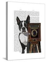 Boston Terrier Photographer-Fab Funky-Stretched Canvas