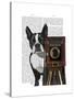 Boston Terrier Photographer-Fab Funky-Stretched Canvas