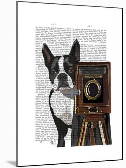 Boston Terrier Photographer-Fab Funky-Mounted Art Print