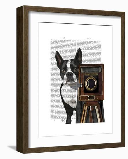 Boston Terrier Photographer-Fab Funky-Framed Art Print