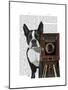 Boston Terrier Photographer-Fab Funky-Mounted Art Print