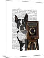 Boston Terrier Photographer-Fab Funky-Mounted Art Print