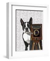 Boston Terrier Photographer-Fab Funky-Framed Art Print