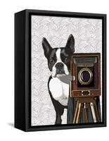 Boston Terrier Photographer-Fab Funky-Framed Stretched Canvas