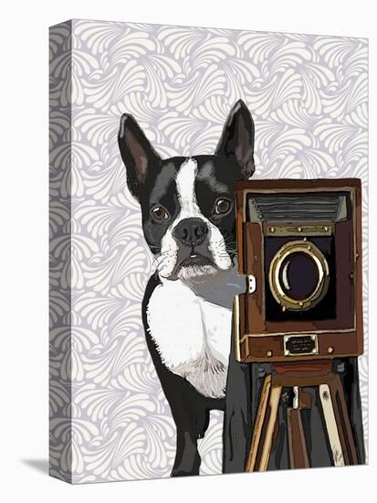 Boston Terrier Photographer-Fab Funky-Stretched Canvas