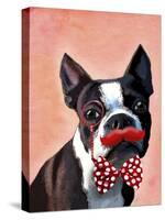 Boston Terrier Portrait with Red Bow Tie and Moustache-Fab Funky-Stretched Canvas