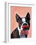 Boston Terrier Portrait with Red Bow Tie and Moustache-Fab Funky-Framed Art Print