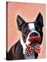 Boston Terrier Portrait with Red Bow Tie and Moustache-Fab Funky-Stretched Canvas