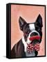 Boston Terrier Portrait with Red Bow Tie and Moustache-Fab Funky-Framed Stretched Canvas