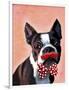 Boston Terrier Portrait with Red Bow Tie and Moustache-Fab Funky-Framed Art Print