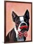 Boston Terrier Portrait with Red Bow Tie and Moustache-Fab Funky-Framed Art Print