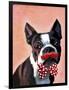 Boston Terrier Portrait with Red Bow Tie and Moustache-Fab Funky-Framed Art Print