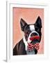 Boston Terrier Portrait with Red Bow Tie and Moustache-Fab Funky-Framed Art Print