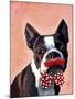 Boston Terrier Portrait with Red Bow Tie and Moustache-Fab Funky-Mounted Art Print