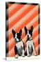 Boston Terrier Pups-null-Stretched Canvas