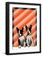 Boston Terrier Pups-null-Framed Art Print