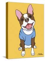 Boston Terrier Seal-Tomoyo Pitcher-Stretched Canvas