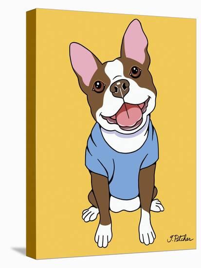 Boston Terrier Seal-Tomoyo Pitcher-Stretched Canvas